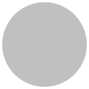 Circle silver solid