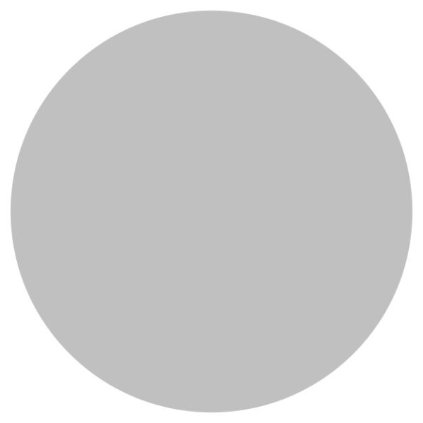 Circle silver solid